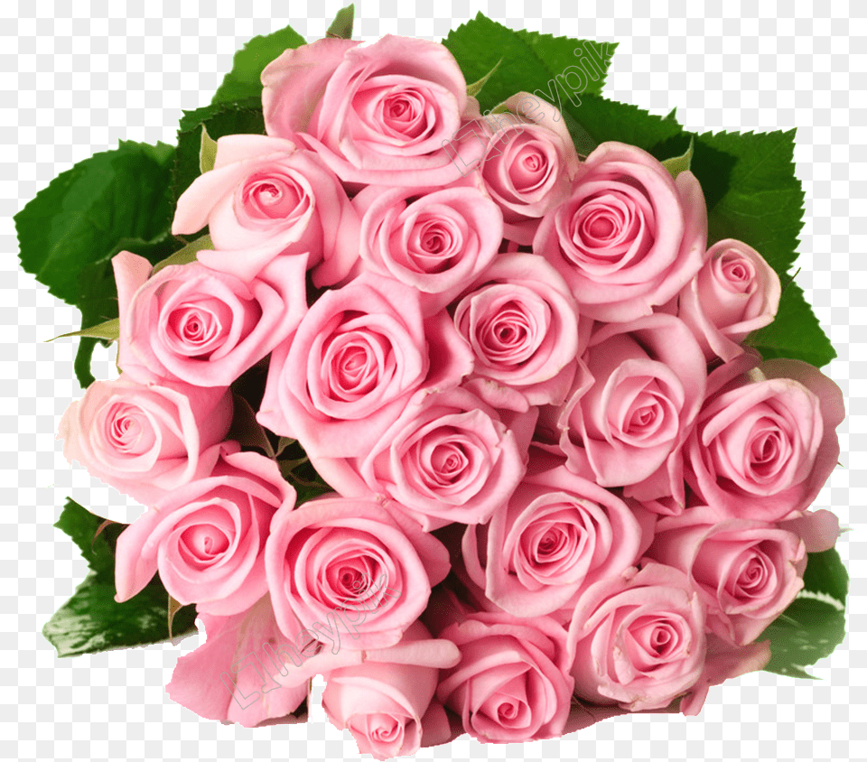 Pink Roses Bouquet Rose, Flower, Flower Arrangement, Flower Bouquet, Plant Free Png Download