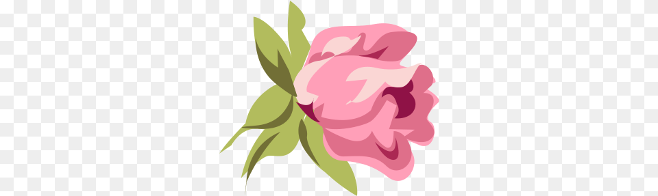 Pink Roses Clipart Vintage Pink Rose Ornament Round, Flower, Plant, Petal, Carnation Free Png Download