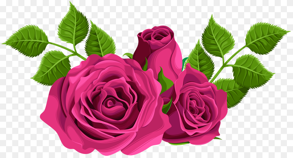 Pink Roses Decorative Clip Art Free Transparent Png