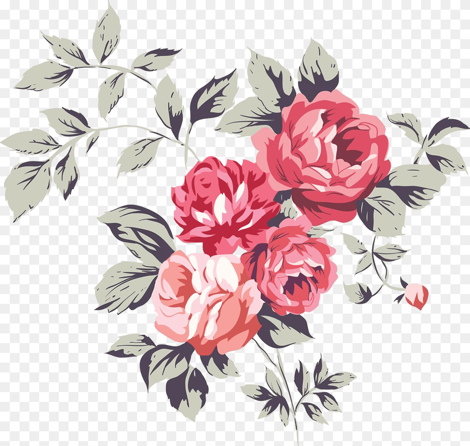 Pink Roses Drawing, Art, Floral Design, Graphics, Pattern Free Png