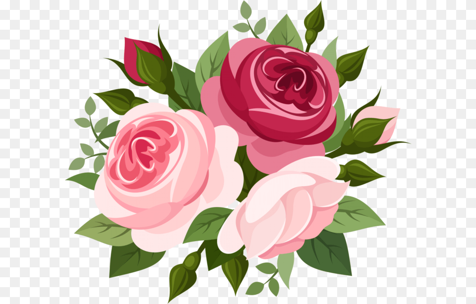 Pink Roses Elegant Rose Vector Picture Bouquet Flower Vector, Plant, Flower Arrangement, Flower Bouquet, Pattern Free Transparent Png