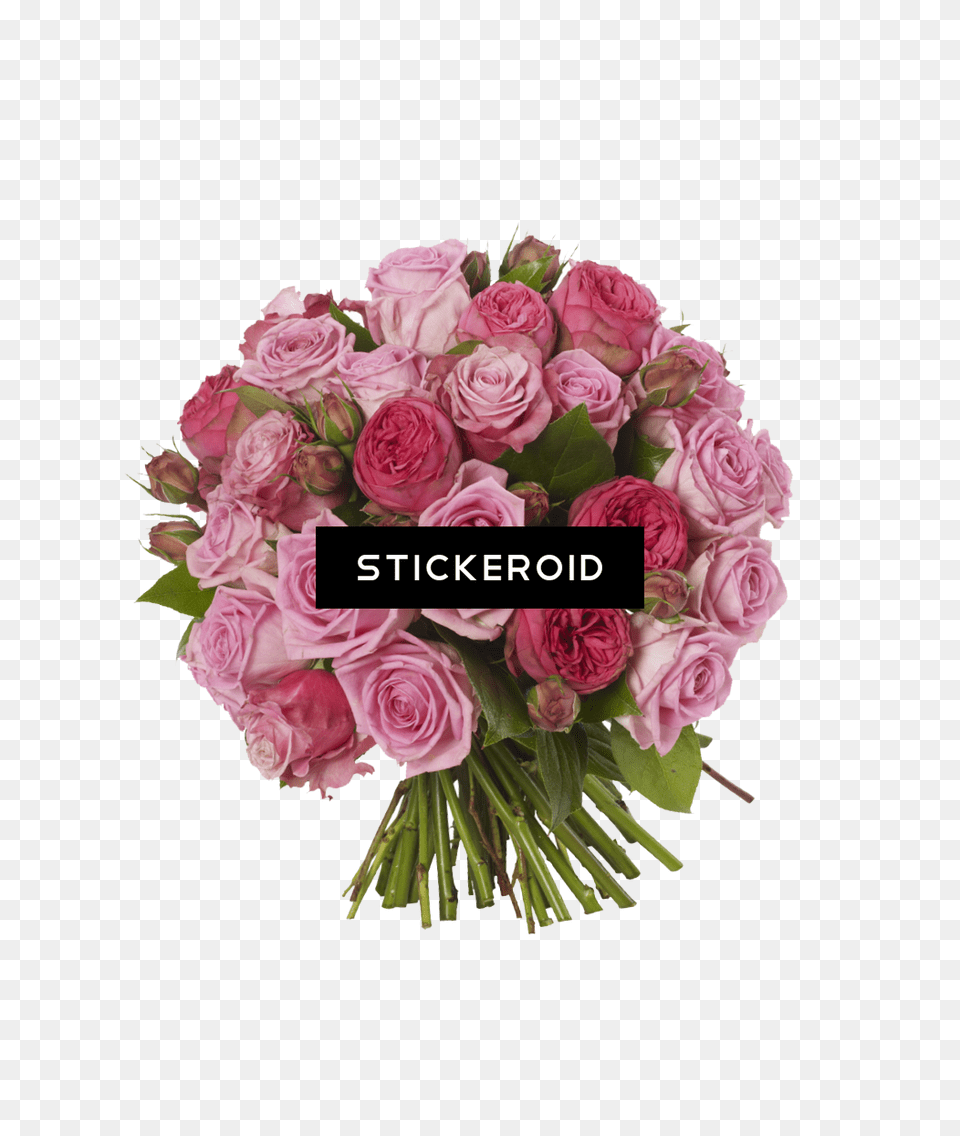 Pink Roses Flowers Bouquet, Art, Floral Design, Flower, Flower Arrangement Free Png Download