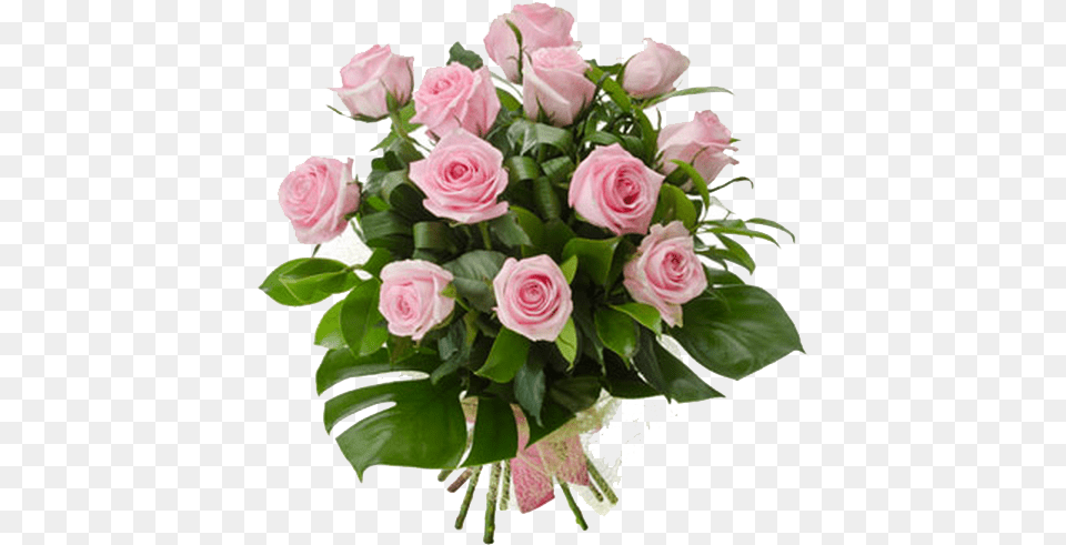 Pink Roses Flowers Bouquet 2 Love Anniversary Status, Flower, Flower Arrangement, Flower Bouquet, Plant Free Png