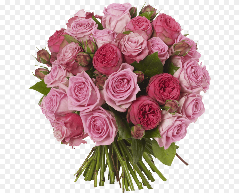 Pink Roses Flowers Bouquet Download Mart Flower Design Download, Flower Arrangement, Flower Bouquet, Plant, Rose Free Transparent Png