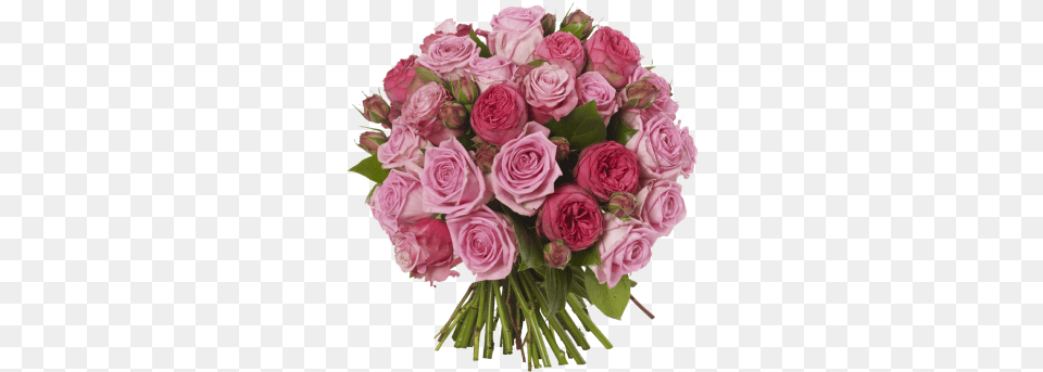 Pink Roses Flowers Bouquet Images Flowers Bouquet, Flower, Flower Arrangement, Flower Bouquet, Plant Png Image