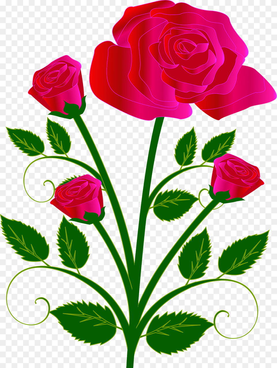 Pink Roses On The Stem Clipart, Art, Flower, Graphics, Pattern Free Png Download