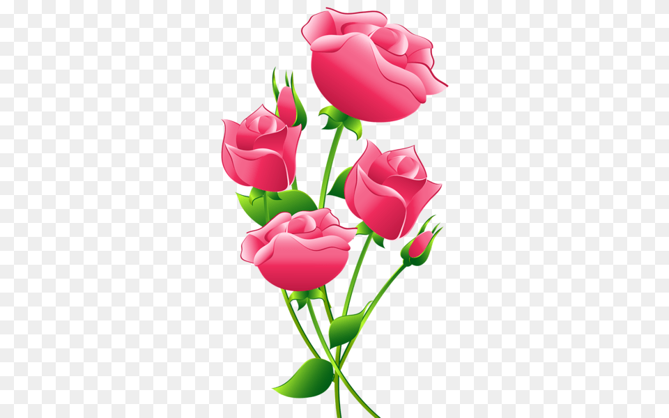 Pink Roses Transparent Clip Art Flores Imagenes, Flower, Plant, Rose, Petal Free Png Download