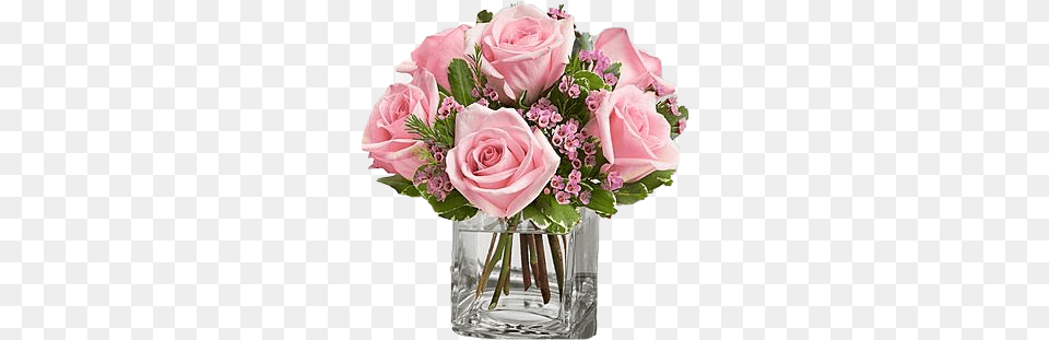 Pink Roses Vase Boquet Rose Flowers Freetoedit Pink Rose Arrangement, Flower, Flower Arrangement, Flower Bouquet, Plant Free Png