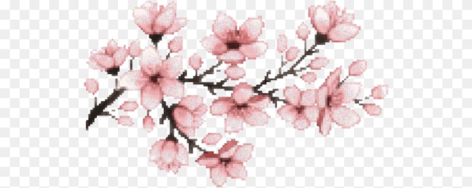 Pink Sakura Tumblr Edit Freetoedit Rosa Pixel Cherry Blossom, Cherry Blossom, Flower, Plant, Chandelier Png Image