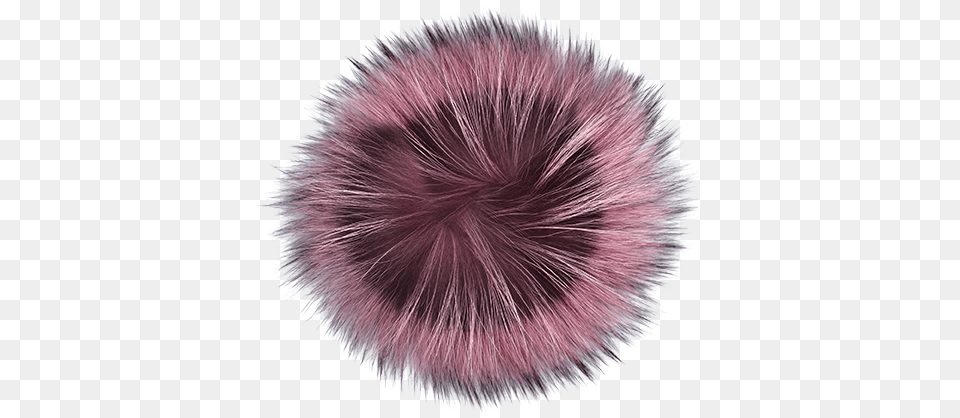 Pink Sea Urchin, Home Decor, Clothing, Fur, Flower Free Transparent Png