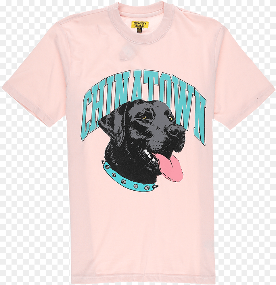 Pink Shirt, Clothing, T-shirt, Animal, Canine Png Image