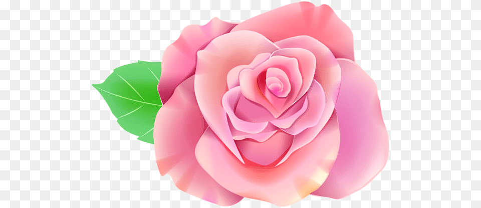 Pink Single Rose Clip Art Single Rose, Flower, Plant, Petal Png