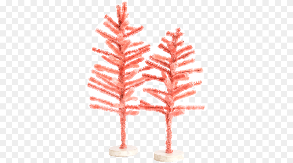 Pink Sisal Tree Mcgee Amp Co Houseplant, Food, Sweets, Baby, Person Free Transparent Png