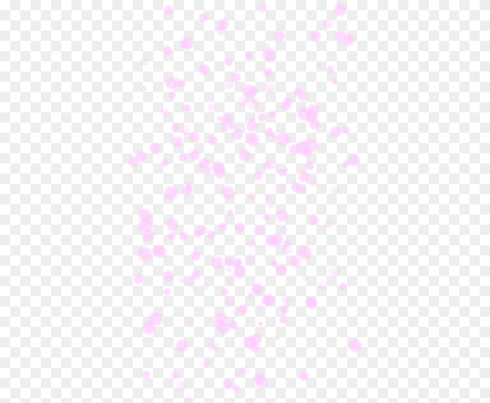 Pink Sparkles Picture Pattern, Flower, Petal, Plant, Paper Png Image