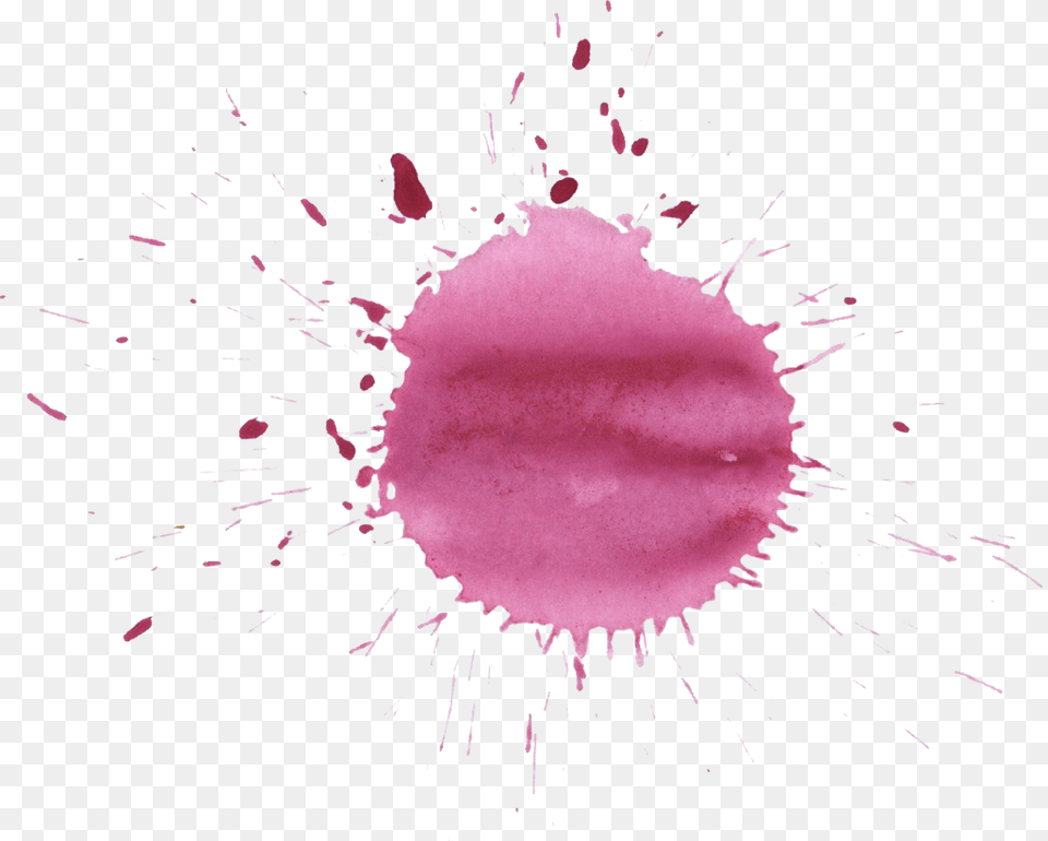 Pink Splat Of Colour, Stain, Flower, Petal, Plant Png Image
