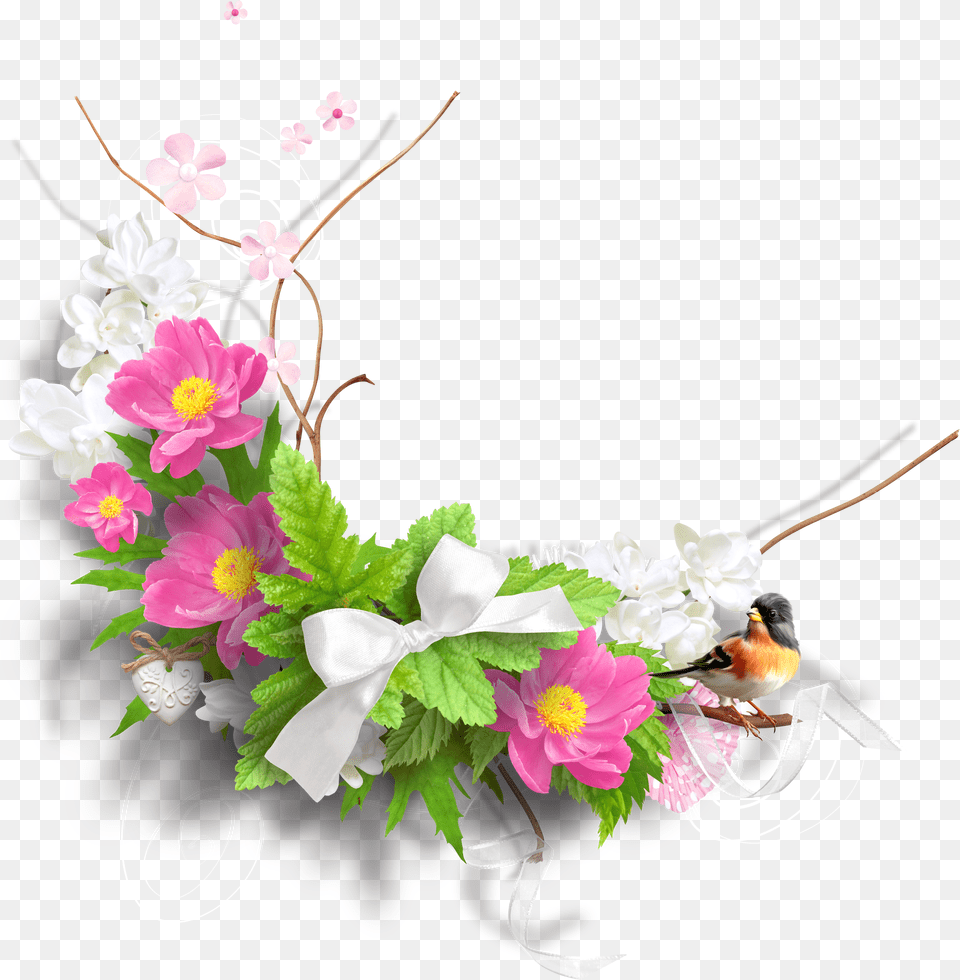 Pink Spring Flower Library Flowers Png Image