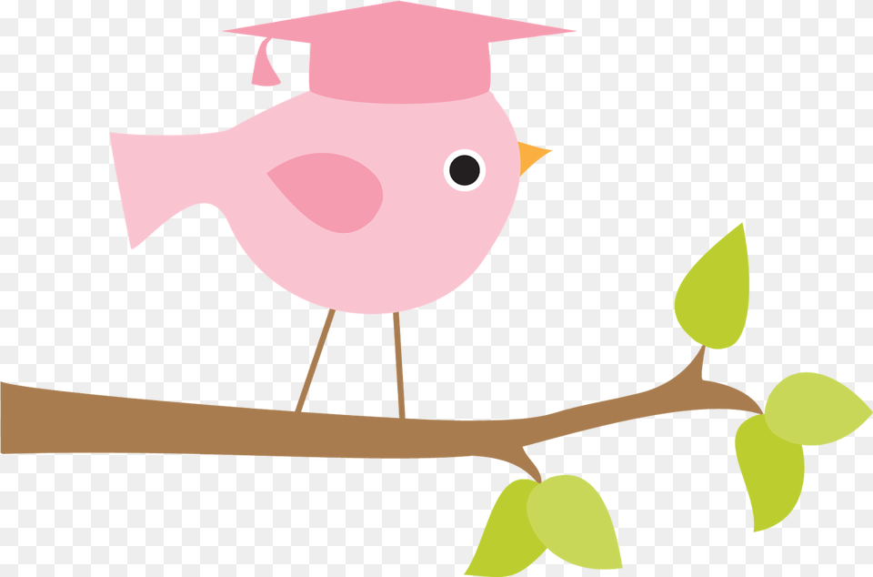 Pink Sticlers Graduation, People, Person, Baby Png Image