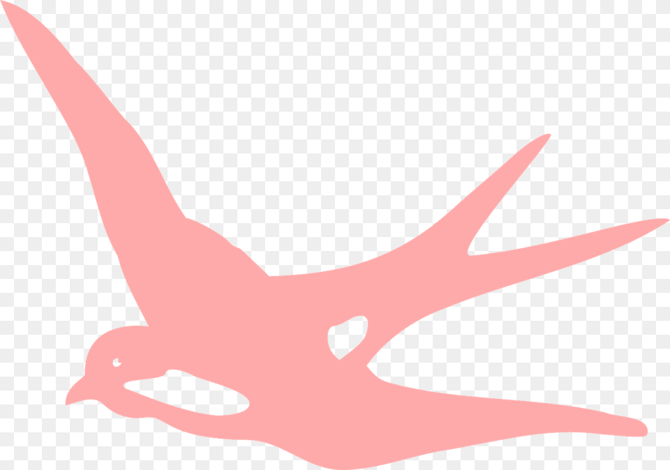 Pink Swallow, Animal, Fish, Sea Life, Shark Png