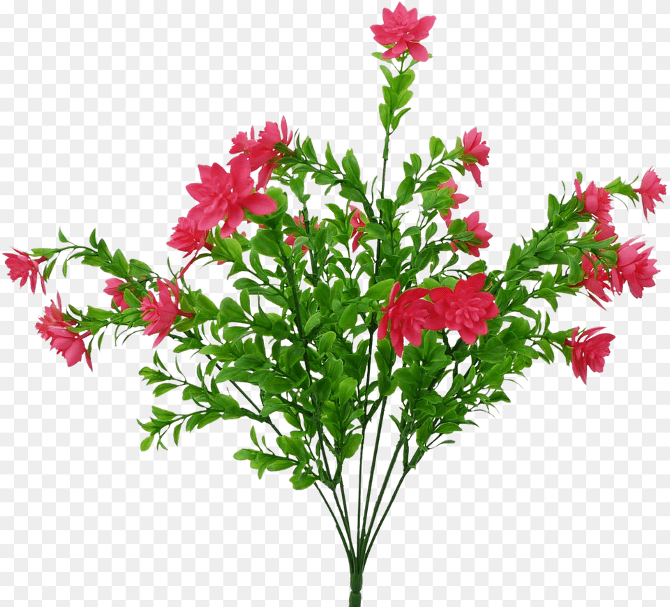 Pink Tea Flower Bush Gilliflower, Flower Arrangement, Plant, Flower Bouquet, Geranium Free Png Download