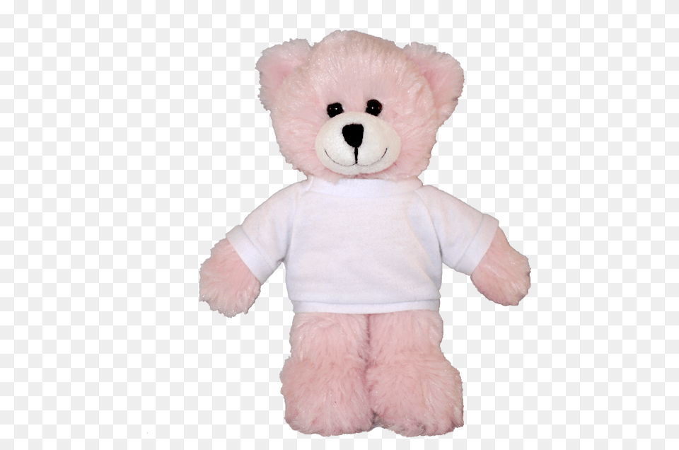 Pink Teddy Bear, Teddy Bear, Toy, Plush Free Png Download