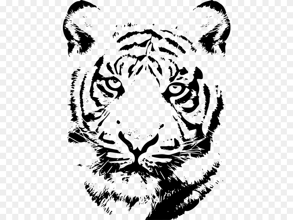 Pink Tiger Pop Art, Gray Free Png Download