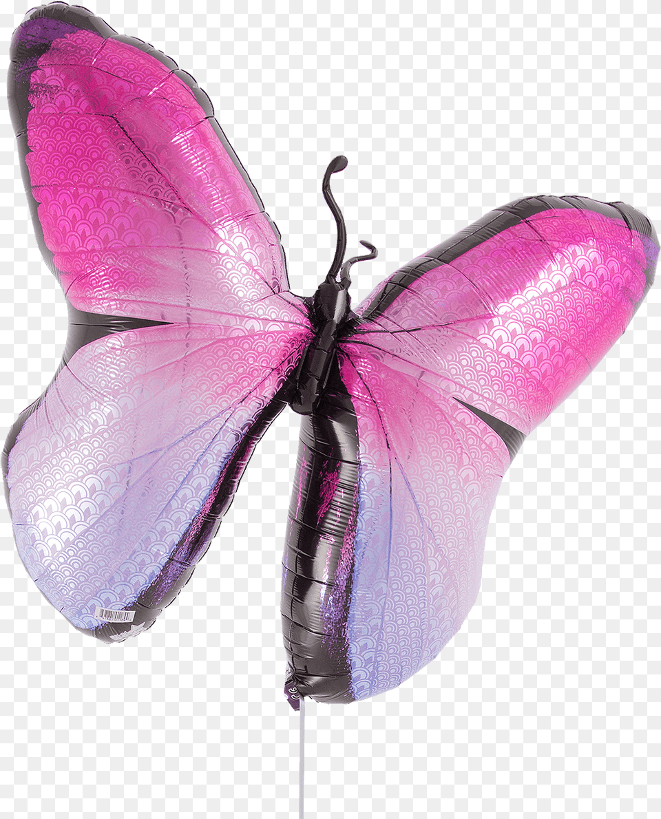 Pink To Purple Butterfly Swallowtail Butterfly, Animal, Person, Dragonfly, Insect Png Image