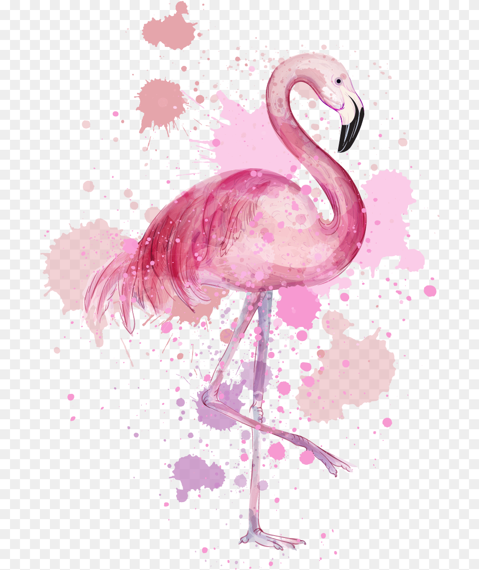 Pink Transparent Background Image Flamingo High Resolution Drawing, Animal, Bird Png