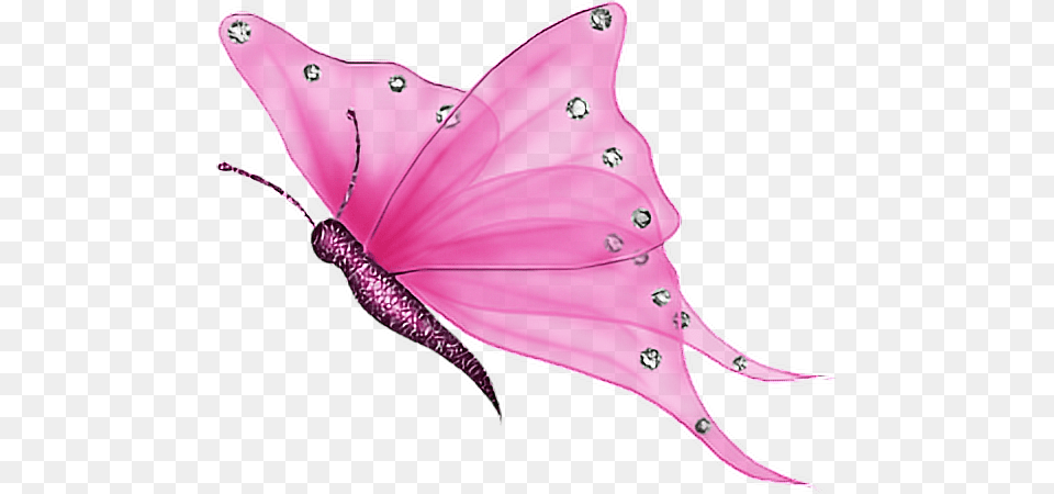 Pink Transparent Butterfly Gif, Leaf, Plant, Accessories, Animal Png Image