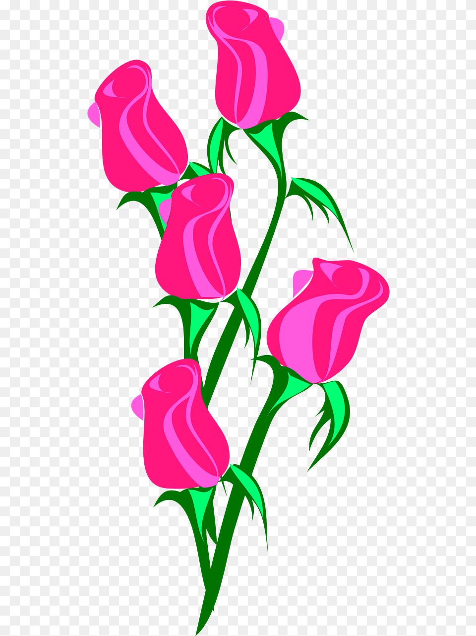 Pink Transparent Flower Cartoon, Art, Graphics, Plant, Rose Png