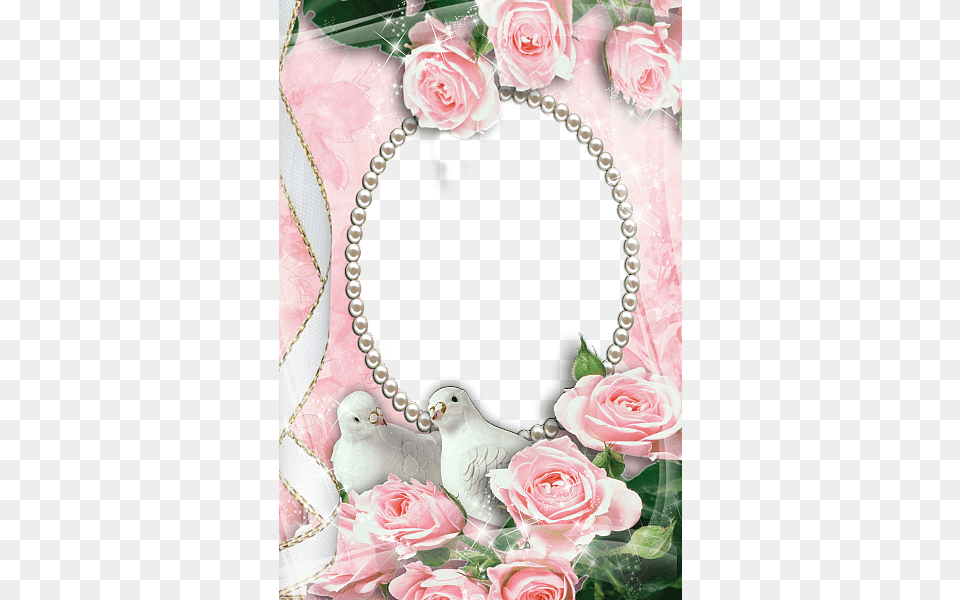 Pink Transparent Frame With Doves And Roses Rose Frame Frames With Doves, Flower, Plant, Animal, Bird Free Png Download