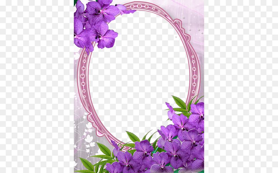 Pink Transparent Frame With Purple Flowers Purple Flowers Marcos Para Fotos Ovalados, Flower, Geranium, Plant, Petal Free Png