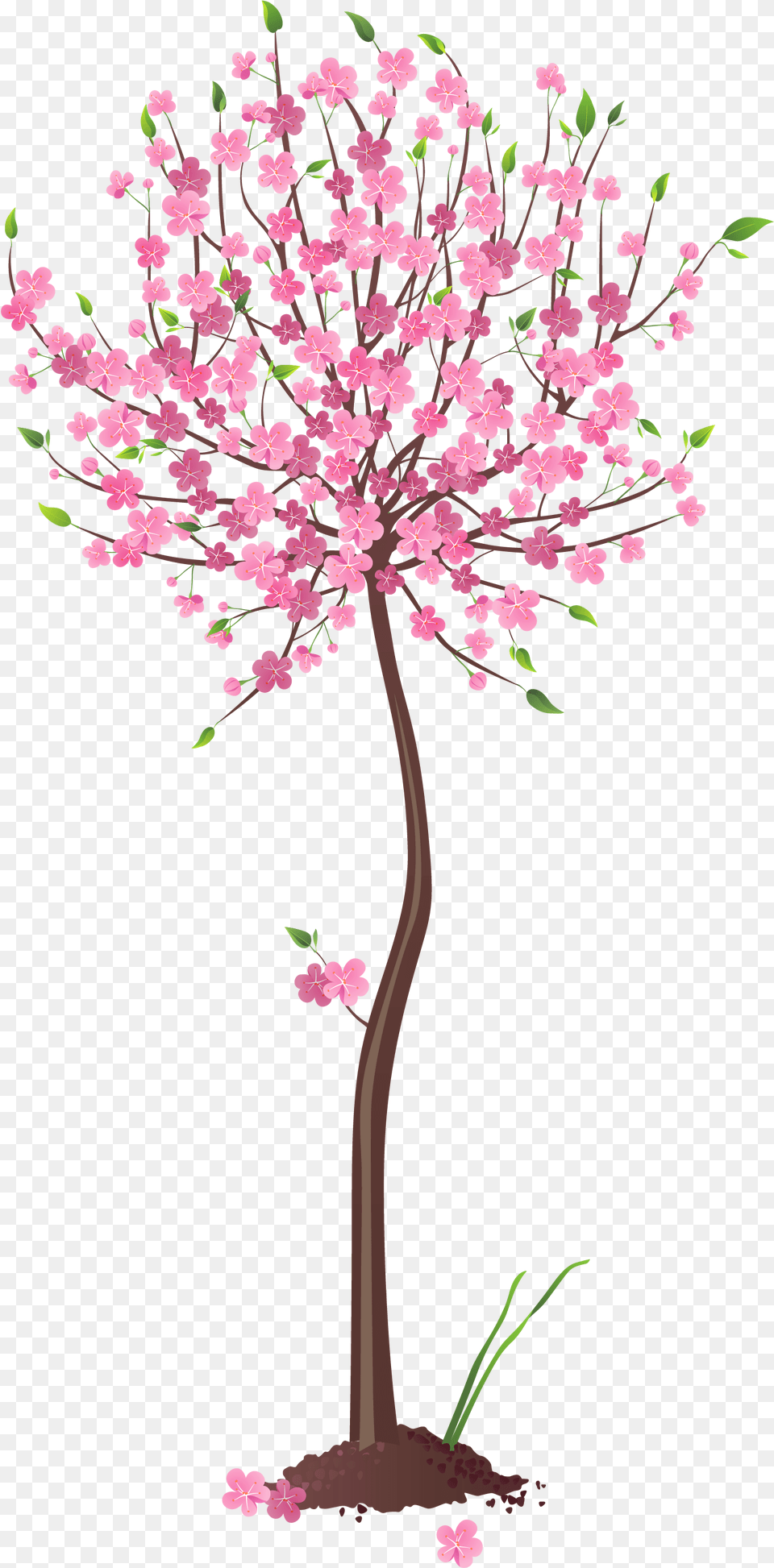Pink Tree Clipart, Flower, Plant, Cherry Blossom Free Png Download
