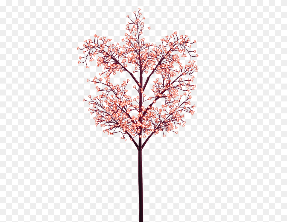 Pink Tree Tree, Plant, Flower, Cherry Blossom Png Image