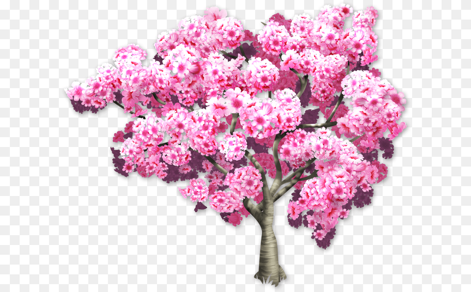 Pink Trumpet Tree, Flower, Plant, Flower Arrangement, Flower Bouquet Free Png Download