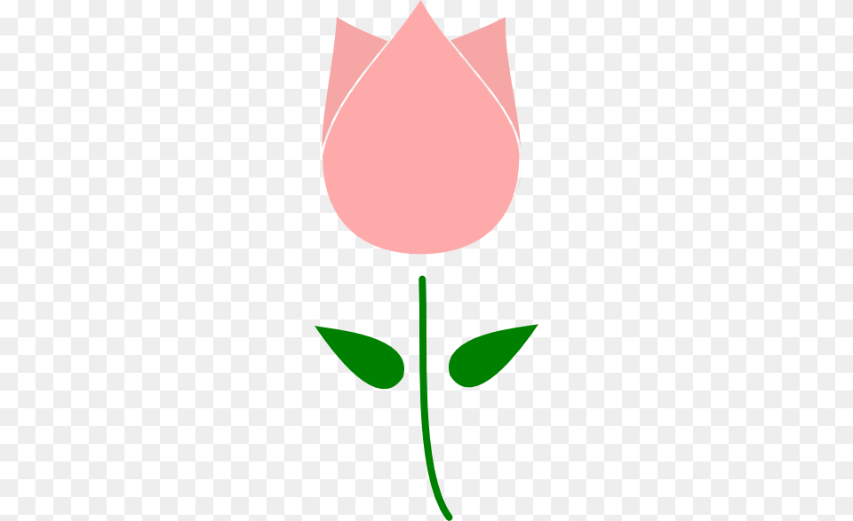 Pink Tulip Clip Art, Flower, Leaf, Petal, Plant Free Png