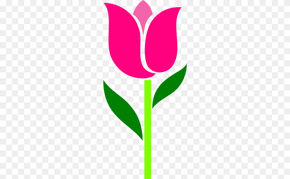 Pink Tulip Leaves Askew Clip Art, Plant, Flower, Petal, Rose Free Transparent Png