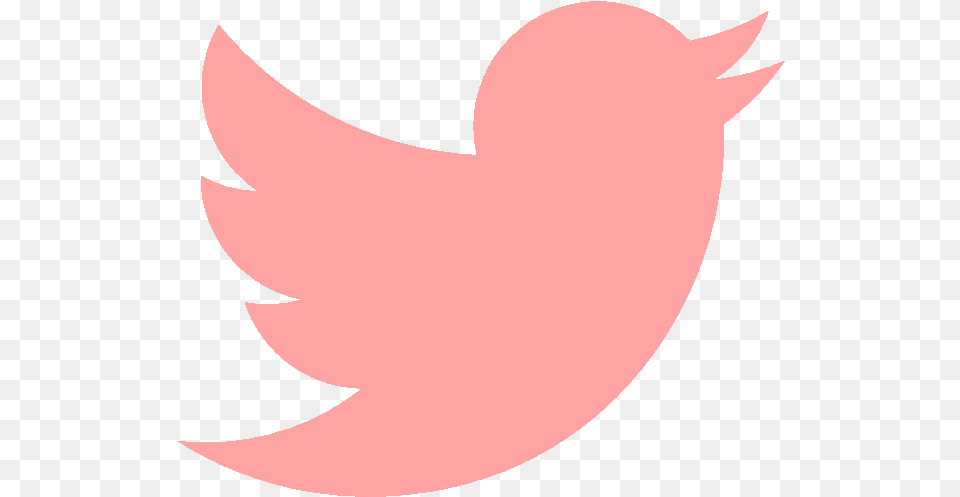 Pink Twitter Icon Pink Twitter Logo Transparent, Animal, Fish, Sea Life, Shark Png