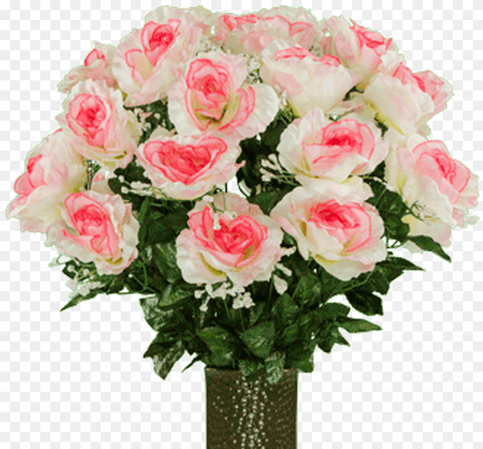 Pink Two Tone Roses, Flower, Flower Arrangement, Flower Bouquet, Plant Png Image