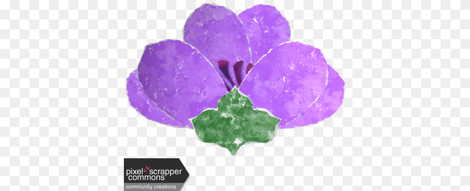 Pink U0026 Purple Ripped Paper Anemone Flower Graphic By Gill Violet, Geranium, Petal, Plant Free Png Download