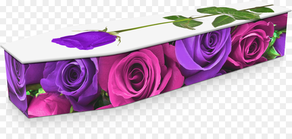 Pink U0026 Purple Roses Custom Coffin Design Expression Coffins Coffin, Art, Plant, Graphics, Flower Png Image