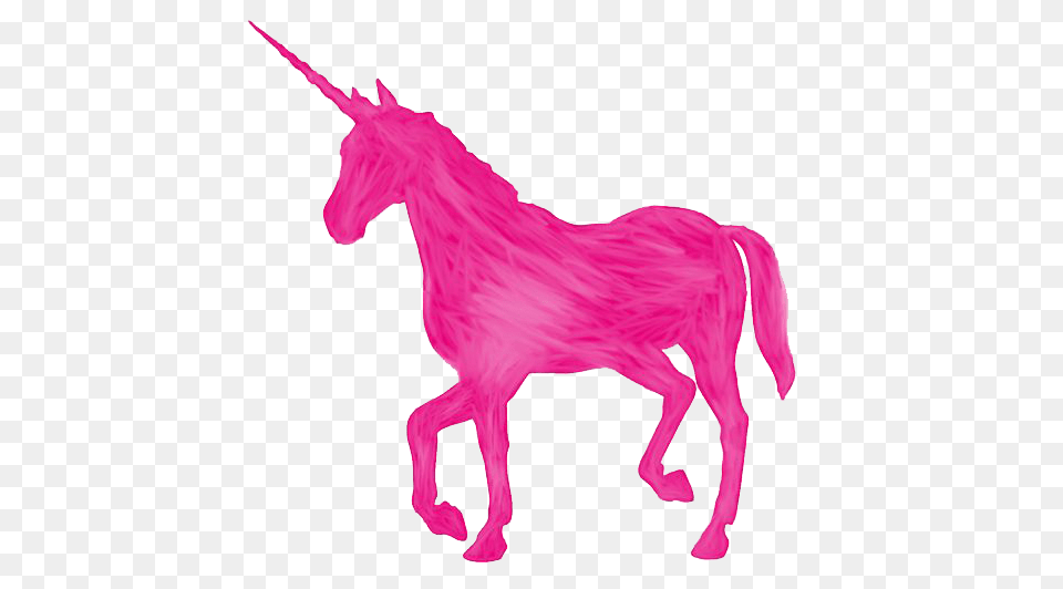 Pink Unicorn, Animal, Mammal, Art, Horse Png