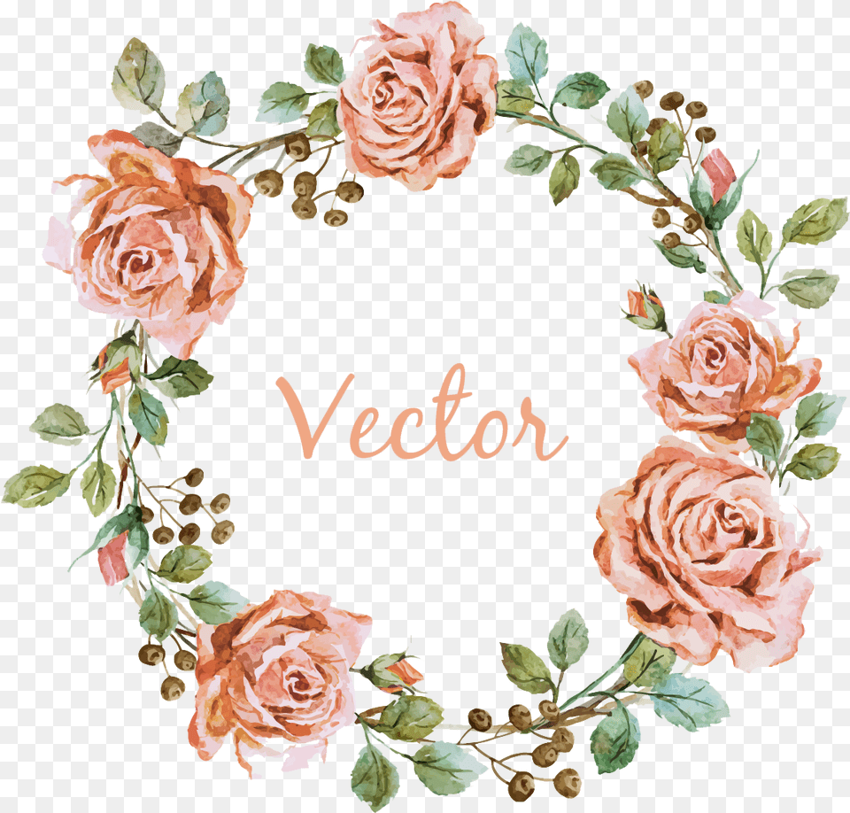 Pink Videography Photographer Photography Flower Wedding Circle Flower Vector, Plant, Rose, Pattern, Art Free Transparent Png