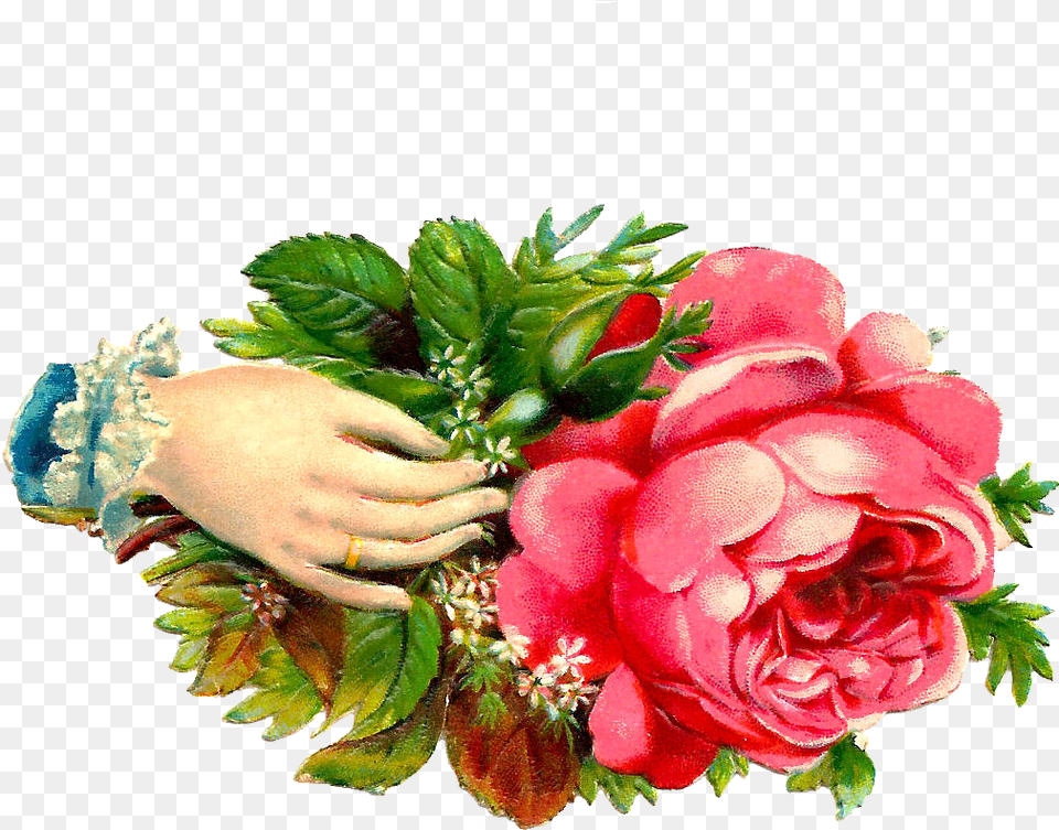 Pink Vintage Flowers Welcome Of Flowers Hand, Rose, Plant, Pattern, Graphics Free Png Download