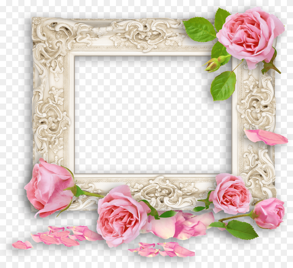 Pink Vintage Frames Ornate Cream Bevelled Mirror, Flower, Plant, Rose, Petal Free Png