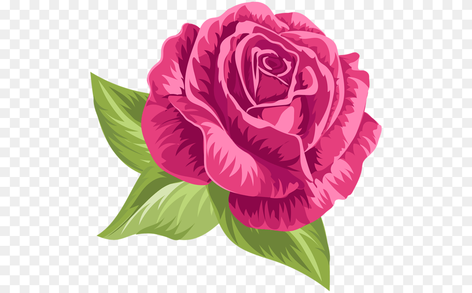 Pink Vintage Rose Clip Art Rose, Flower, Plant, Carnation Free Png Download