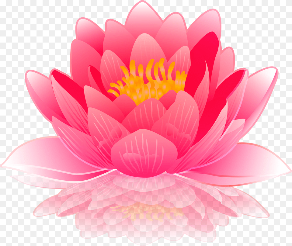 Pink Water Lily Clip Art Image Gallery Yopriceville Free Png