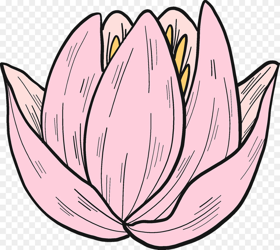 Pink Water Lily Clipart, Dahlia, Flower, Petal, Plant Free Png Download