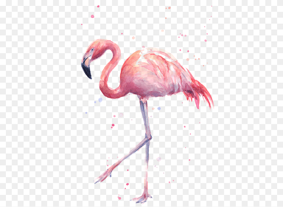 Pink Watercolor Flamingo T Shirt Flamingo In A Flock Of Pigeons, Animal, Bird Free Png Download