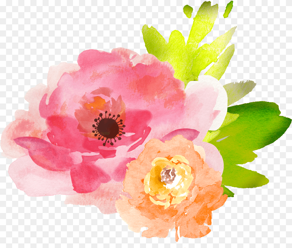 Pink Watercolor Flowers For Download On Watercolor Flower Clipart Background, Anemone, Anther, Petal, Plant Free Transparent Png