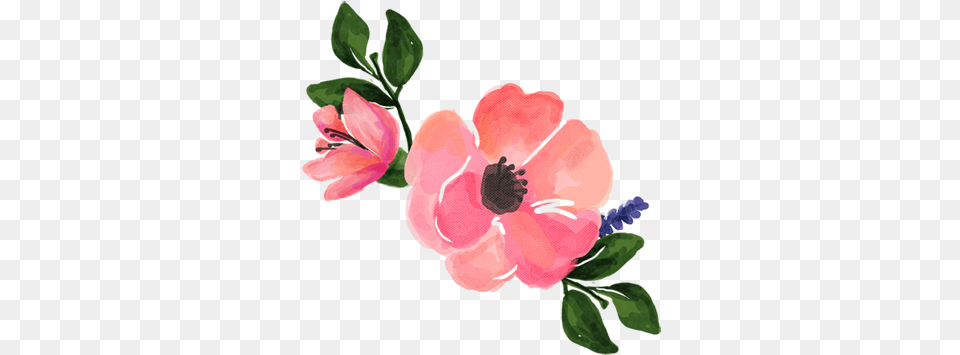 Pink Watercolor Flowers Transparent You Flower You Feast, Petal, Plant, Anemone, Geranium Free Png Download